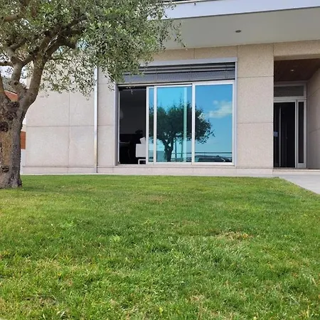 Olive Ap. * Torreira