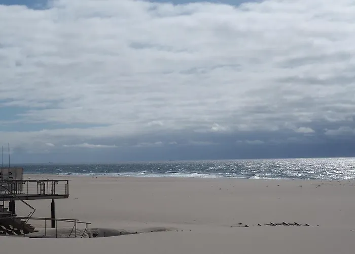 Olive Ap. Διαμέρισμα Torreira