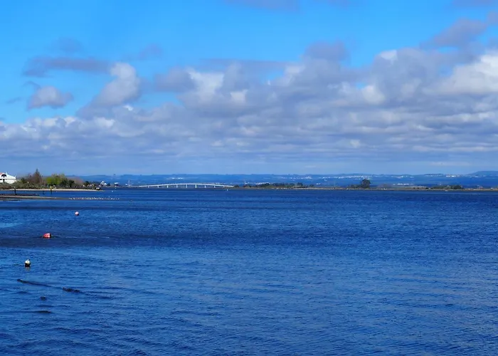 Διαμέρισμα Olive Ap. Torreira